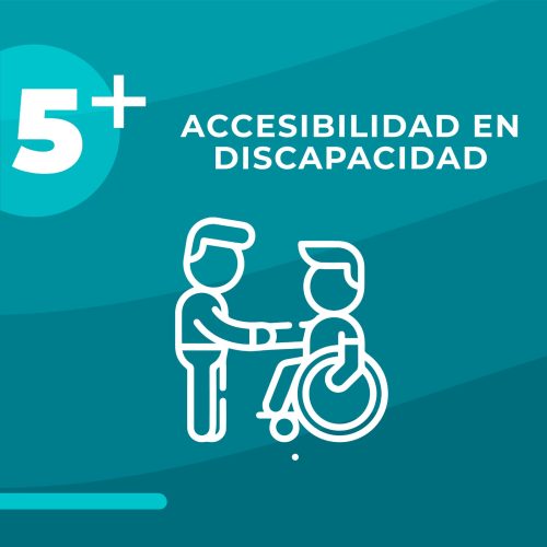 05 discap 05 discap