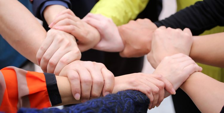 voluntariado voluntariado